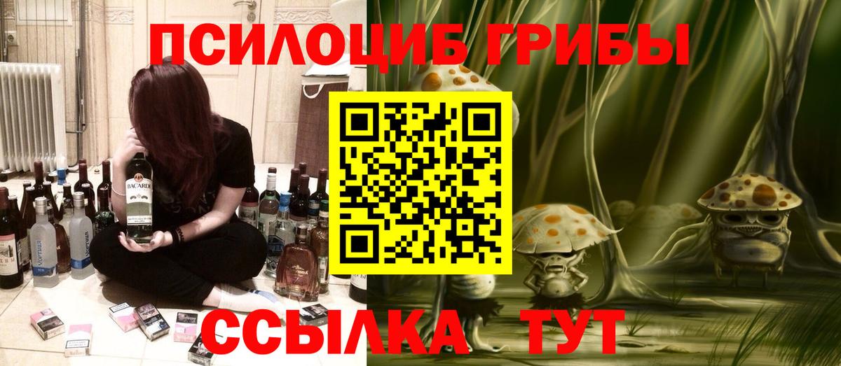 Псилоцибиновые грибы Psilocybe  Галлюциногенные грибы прущие грибы  Изобильный  Вход с VPN 